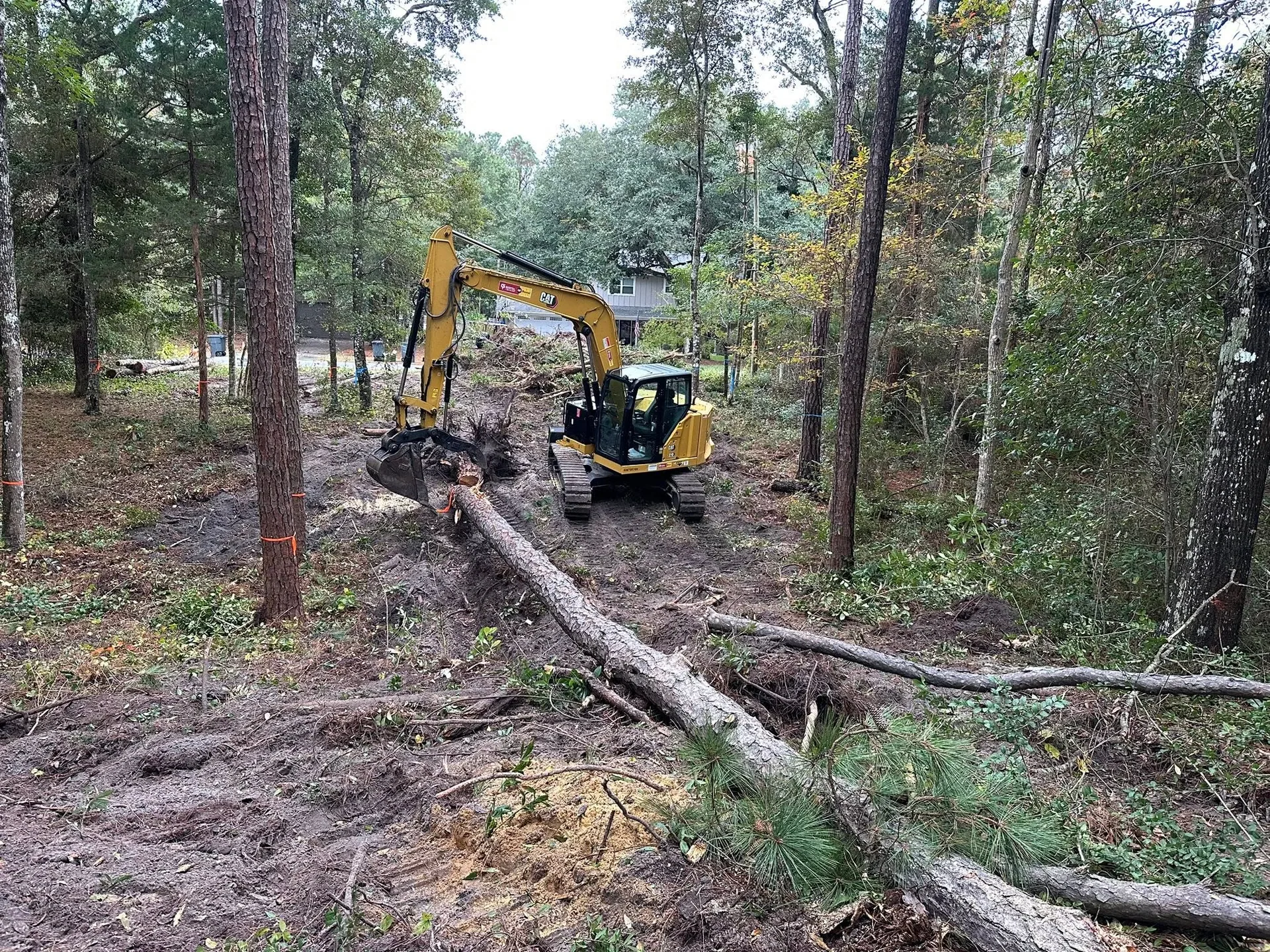 Underbrush Clearing