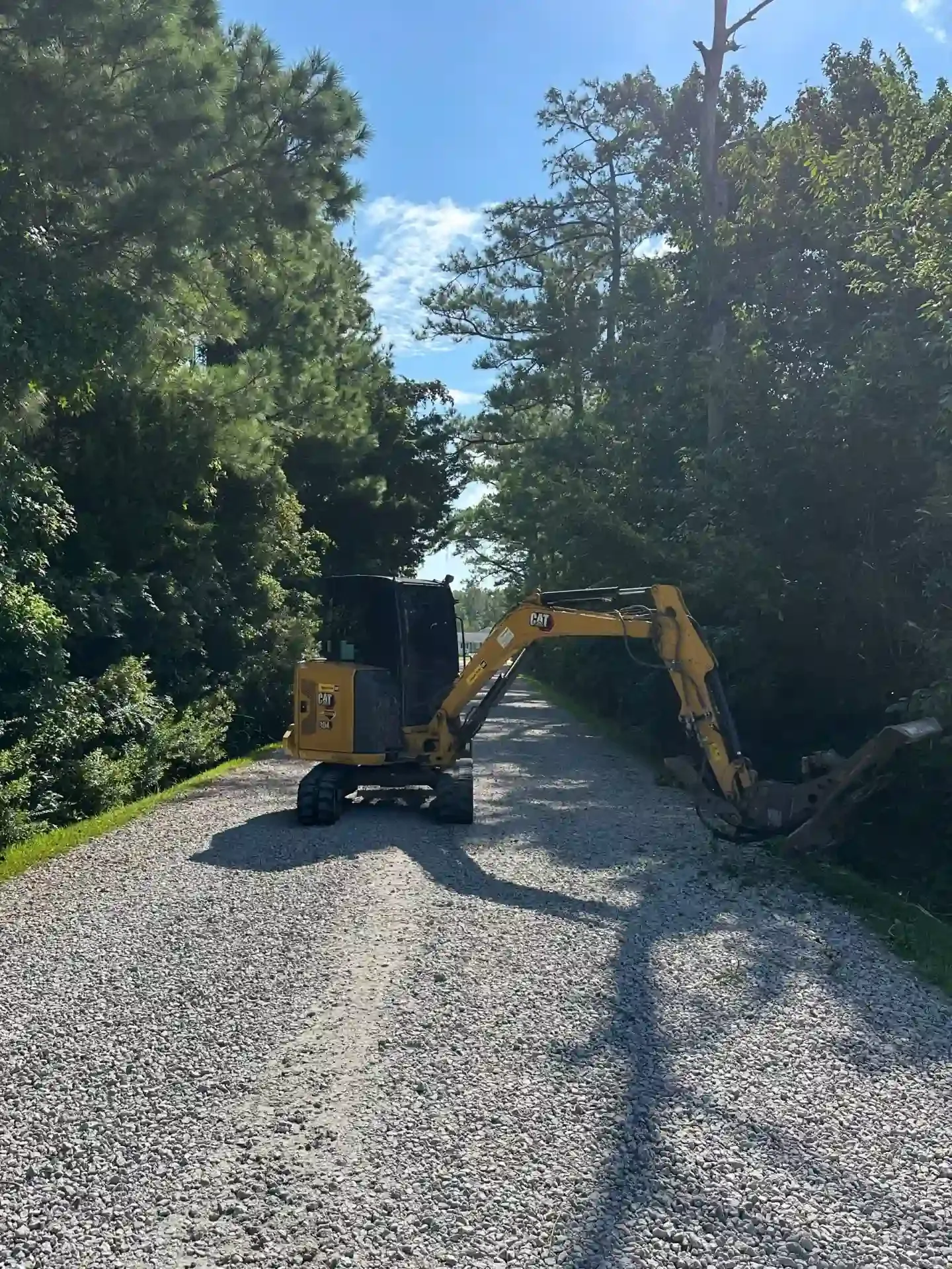Underbrush Clearing