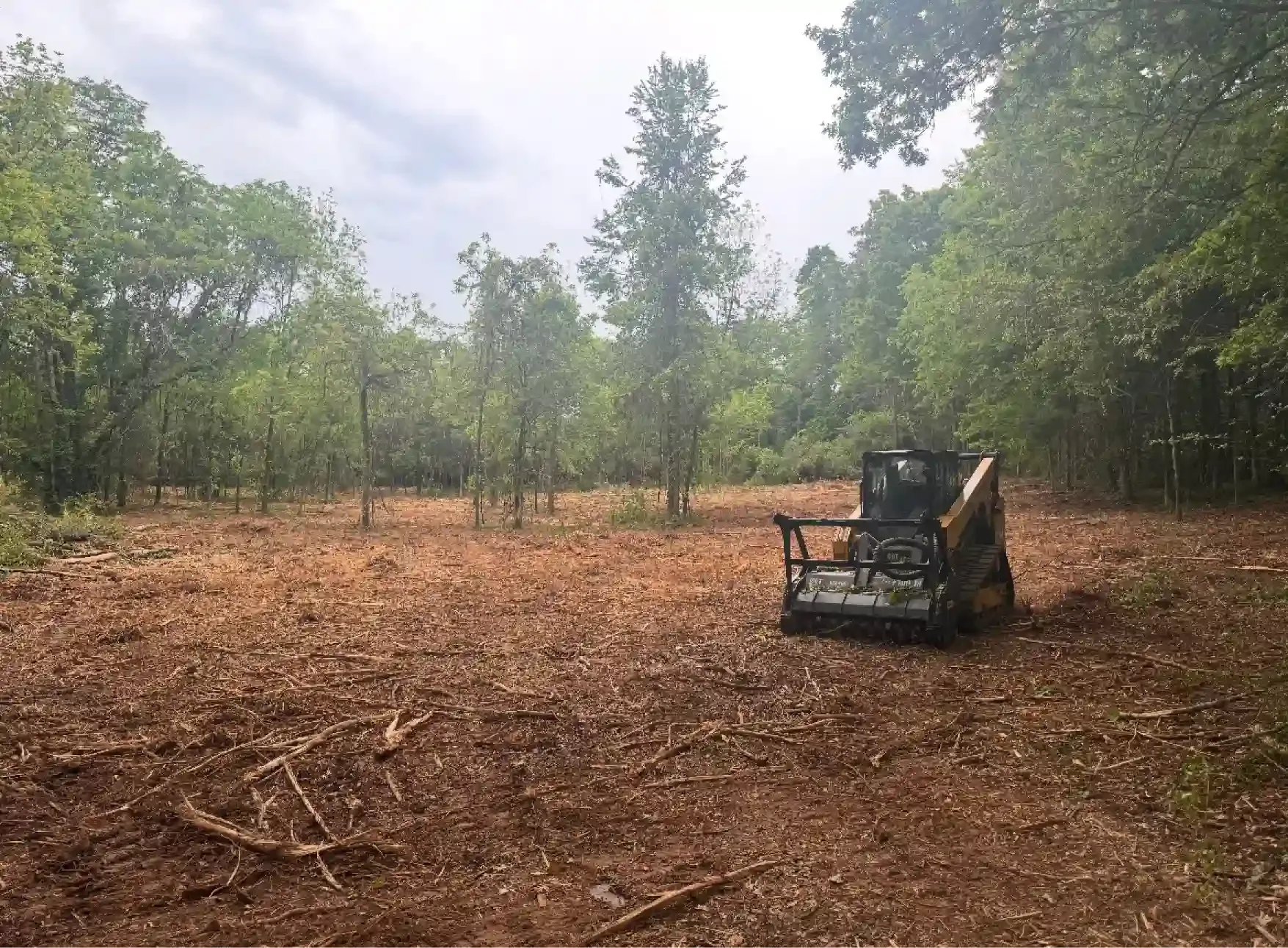 Underbrush Clearing