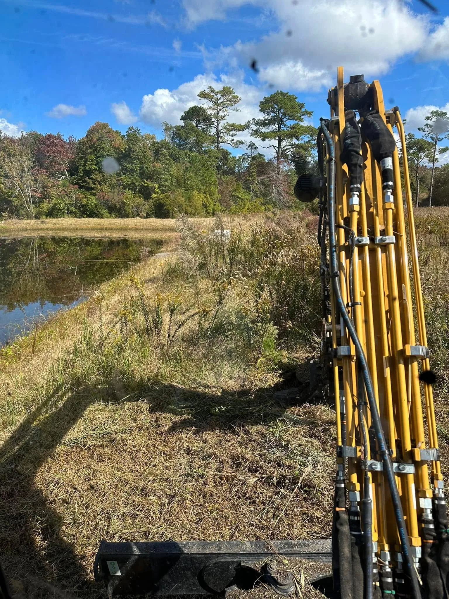 Underbrush Clearing