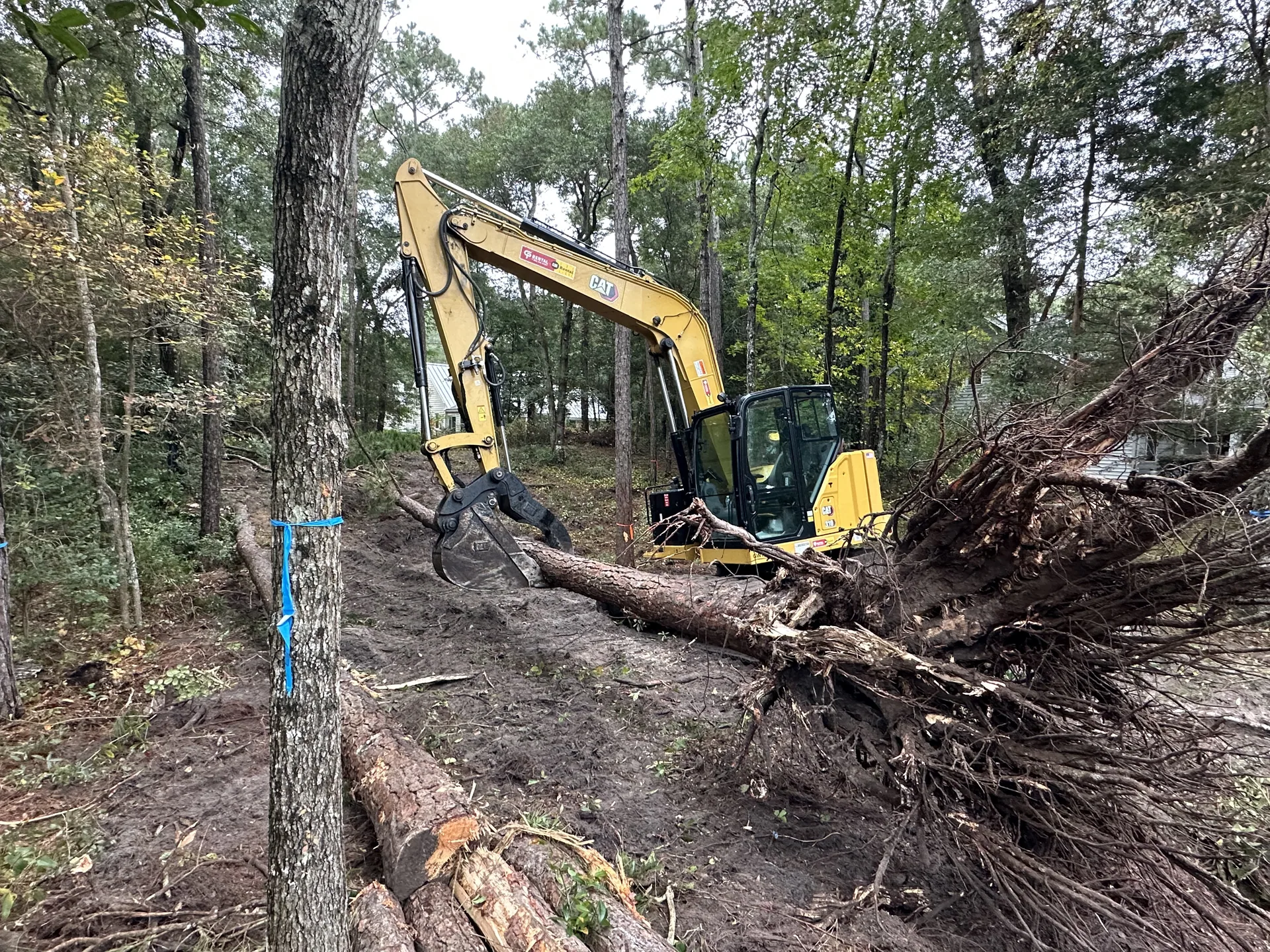 Excavator Lifting Pine Log Lot Clearing Beaufort NC