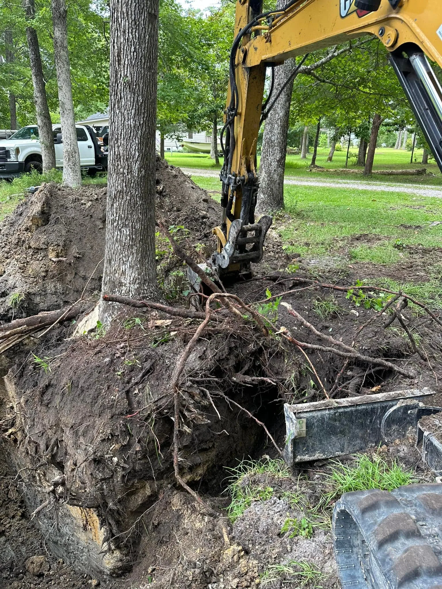 Underbrush Clearing Services in Beaufort, NC